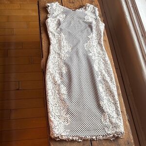 Eureka Elegant Lace Overlay Dress